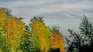 Klosterneuburg im Nebel [upl. by Hooper]