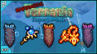 Lets Play Terraria 13 Expert Mode PC  Want Some More Deaths With That Death 37 [upl. by Rozamond]