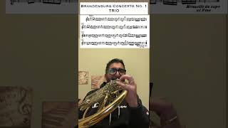 Brandenburg Concerto No 1 TRIO Horn Excerpts hornsolo [upl. by Acinoj]