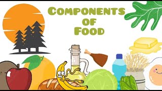 Components of food  class 5  MASA [upl. by O'Meara]