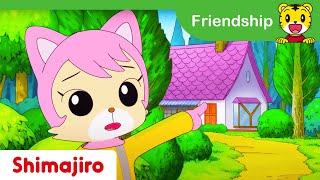 Meeting Nikki ✨Friendship  Kids videos for kids  Shimajiro [upl. by Rayna]