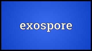 Exospore Meaning [upl. by Navert]