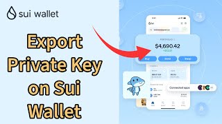 How to Export Your Private Key on Sui Wallet Account 2024 [upl. by Alexi]