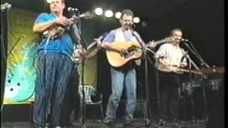 Seldom Scene 1996  quotOur Last Goodbyequot [upl. by Sisto565]