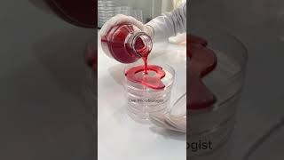 Media Pouring  Mannitol Salt Agar pouring  Plate Preparation for Bacterial growth youtubeshorts [upl. by Anifur281]