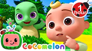 Peekaboo  Fantasy Animals  CoComelon Animal Time  Nursery Rhymes for Babies [upl. by Golliner716]