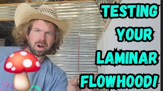 Testing your Laminar Flowhood🍄 [upl. by Enatan]