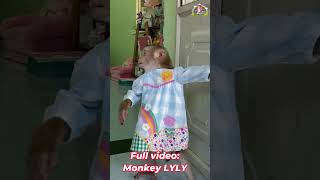 Monkey Lyly closes the door to block out the noise shorts cutefunny youtubeshorts [upl. by Ferree218]