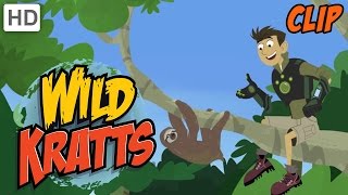 Wild Kratts  Relaxing with Sloths [upl. by Tayib]