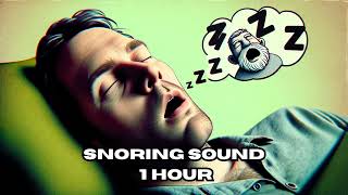 Snoring Sound Effect 1 HOUR  HQ [upl. by Atinhoj141]