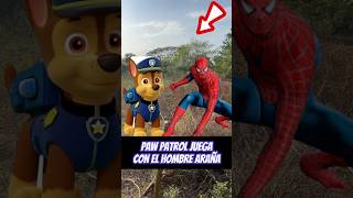 Paw patrol juega con el hombre araña 😱😱 [upl. by Navak]