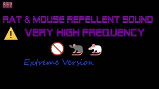 ⚠️Extreme Version 🚫🐀🐁 Rat amp Mouse Repellent Sound Very High Frequency 3 Hour [upl. by Talbert]