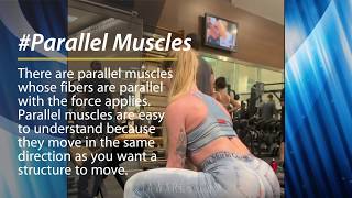 PARALLEL VS PENNATE MUSCLES Ursulla Fernandes Brazilian Awesome Workout [upl. by Aititil64]