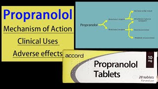 Propranolol Pharmacology Mechanism of Action  Clinical Uses  Adverse Effects [upl. by Lav679]