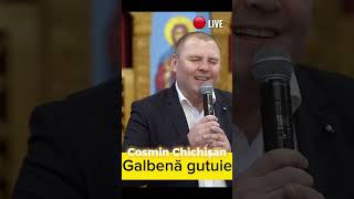 Cosmin Chichisan  Galbena GUTUIE cover nicazaharia2714 [upl. by Yllus197]