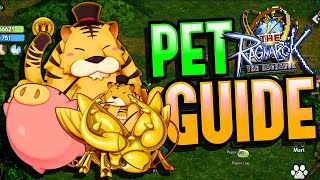 The Ragnarok  Pet Guide [upl. by Suzie374]