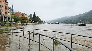 Hochwasser 2024 I Bad Schandau I Sächsische Schweiz I 1609 2024 [upl. by Yzzik]