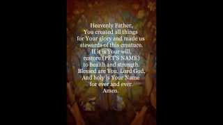 Franciscan Prayer for Sick Animals [upl. by Marigolda109]