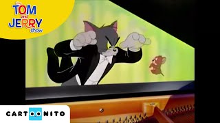 Tom ve Jerry  Piyano  Cartoonito Türkiye [upl. by Buhler46]