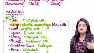 Chronic Inflammation Pathology Rapid Revision For FMGE amp NEET PG By Dr Preeti Sharma [upl. by Aicercul705]