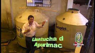 LLANTUCHA DE APURIMAC richard bravos1 [upl. by Nitsreik]