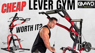 GMWD Lever Gym Review Cheap Leverage Gym on Amazon [upl. by Dreda]