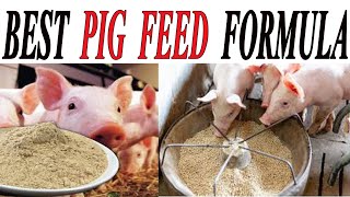 HOW TO START PIG FARMING  How to make pig feed Best pig feed formulationCheaper pig feedPiggery [upl. by Eatnahc127]