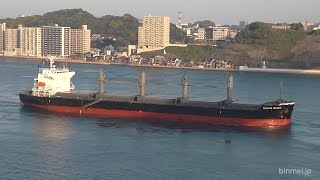 CHAVIN QUEEN  Shikishima Kisen supramax bulker [upl. by Lazare]