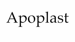 How to Pronounce Apoplast [upl. by Akinom534]