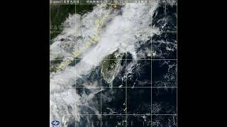 Beautiful lowlevel northeasterly while upperlevel southwesterly form typhoon outflows 9 Nov 2024 [upl. by Stratton]