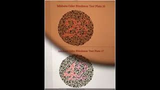 Colorblind Sunglasses Demo Simulation vs Ishihara Dot Test with amp without Pilestone TP006 [upl. by Megen394]