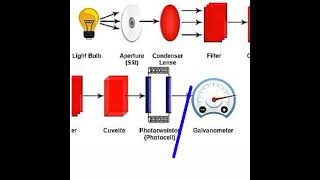 Colorimeter Quick Revision and Component of Colorimeter  Bsc 3rd year  Zoology Second Paper [upl. by Yelha]