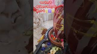 क्या होता है श्रीशिवायनमस्तुभ्यम बोलने से sehorewalepradhipmishrapanditji bap katha shiv [upl. by Drooff391]