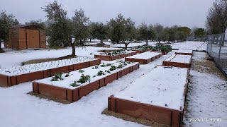 El Huerto con Hielo y Nieve [upl. by Bridge]