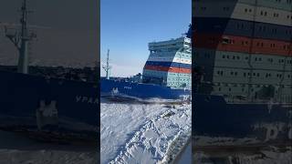 🤯Stunning Sea Views of Antarctica seafarerlife shortice russia viralvideo northpole [upl. by Merle]