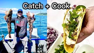 Puget Sound Lingcod Fishing CatchCook [upl. by Zadoc]