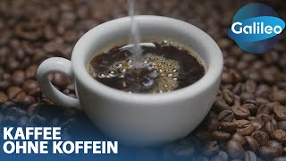 Genuss ohne Koffein Wie entsteht entkoffeinierter Kaffee [upl. by Virgilia]