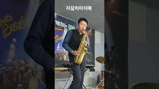 이혜리 자갈치 아지매 색소폰 연주 신나는 트로트  Alto saxophone Yamaha Yas62 Beechler amp Fibracell [upl. by Pease]