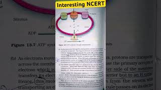 Chemiosmotic Hypothesis biology neetug shortvideo [upl. by Llirrem]