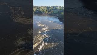 The Reversing Falls in Saint John New Brunswick Part 1 [upl. by Bethel]