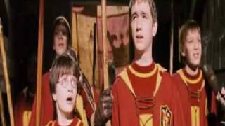 harry potterthe quidditch match [upl. by Calesta]