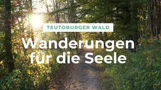 Teutoburger Wald Wanderungen für die Seele [upl. by Tolley]