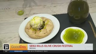 Seka Hills Olive Crush Festival [upl. by Raul]