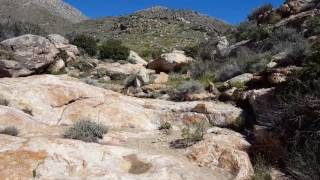 hornblende canyon cool canyon [upl. by Doherty]