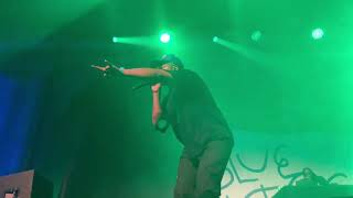 ScHoolboy Q  quotCollard Greensquot LIVE at Chicago IL Ramova Theatre 072424 [upl. by Imiaj]