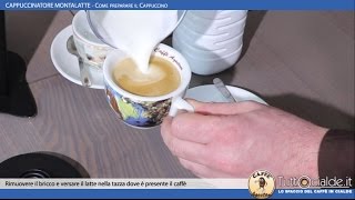 Tuttocialdeit Cappuccinatore Montalatte per latte caldo e freddo  Preparazione Cappuccino [upl. by Aibos]