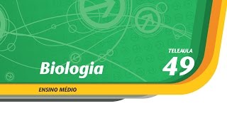 49  Bactérias operárias  Biologia  Ens Médio  Telecurso [upl. by Munniks]