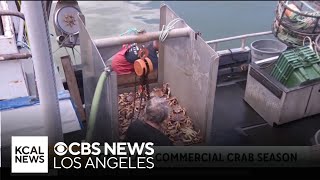 California delays commercial crab season [upl. by Aleacin]