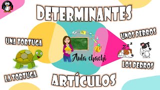 Determinantes  Artículos  Aula chachi  Vídeos educativos para niños [upl. by Hofmann]