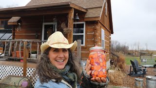 How To Ferment Carrots for Beginners [upl. by Melantha]